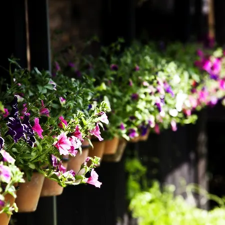 ホテル La Moncloa De San Lazaro