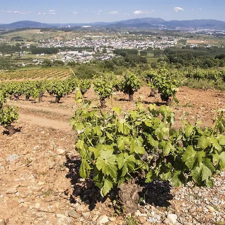 La Moncloa De San Lazaro Hotel Cacabelos (Leon)