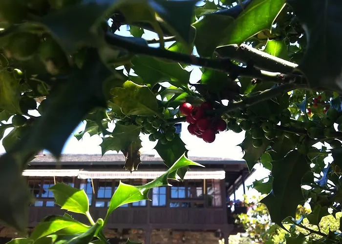 La Moncloa De San Lazaro