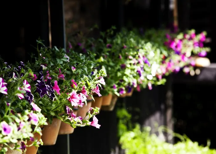 호텔 La Moncloa De San Lazaro