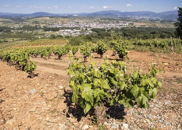 La Moncloa De San Lazaro 호텔 카카벨로스